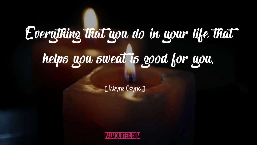 Success In Everything quotes by Wayne Coyne