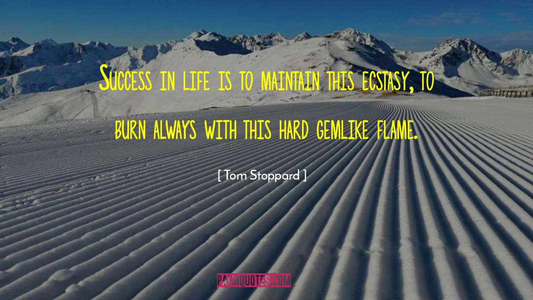 Success In Everything quotes by Tom Stoppard