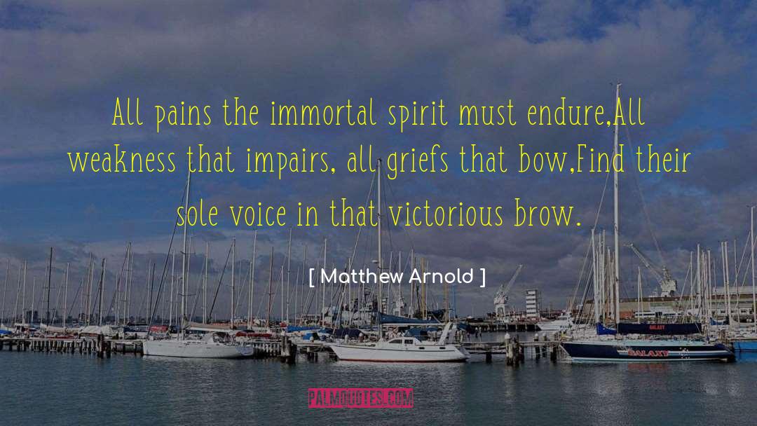 Success In Startups quotes by Matthew Arnold