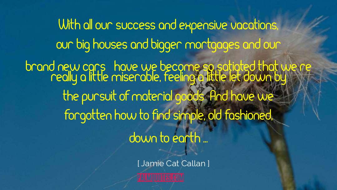 Success Oriented quotes by Jamie Cat Callan