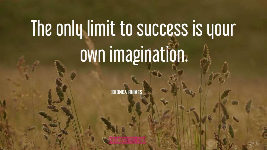 Success Pathways quotes by Shonda Rhimes