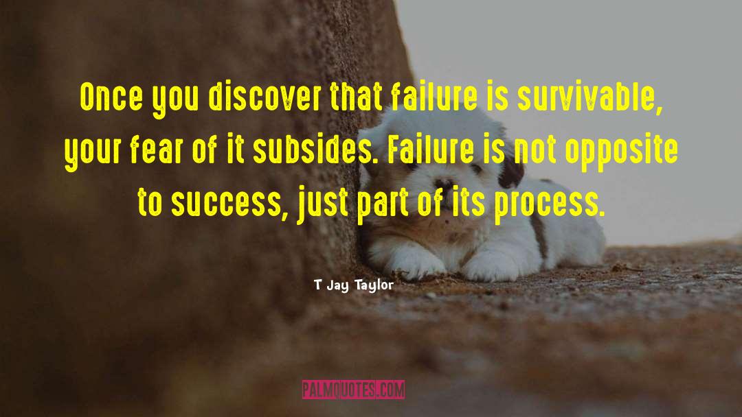Success Position quotes by T Jay Taylor