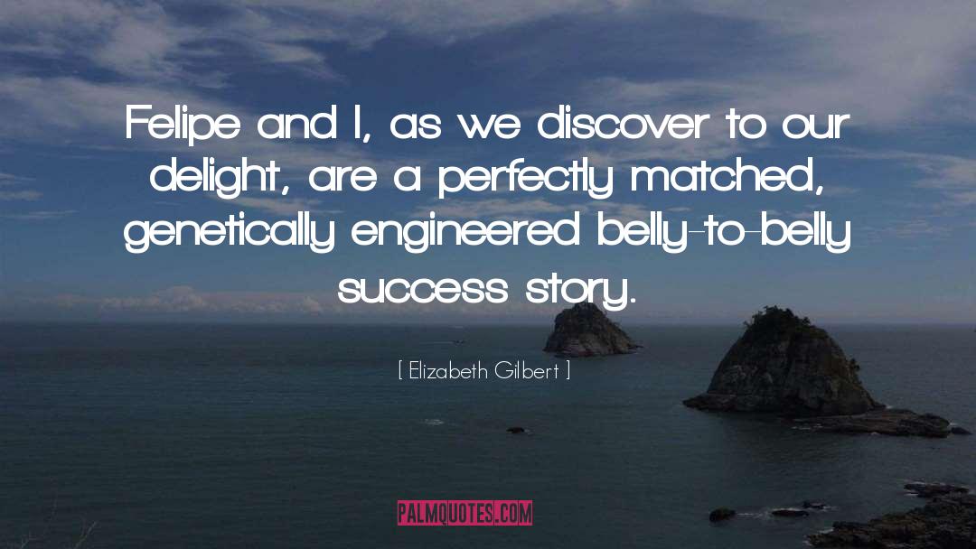 Success Story quotes by Elizabeth Gilbert