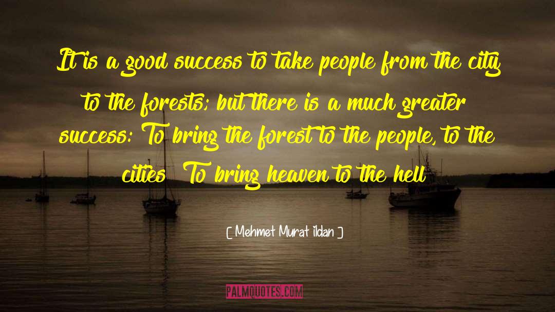 Success Strategies quotes by Mehmet Murat Ildan