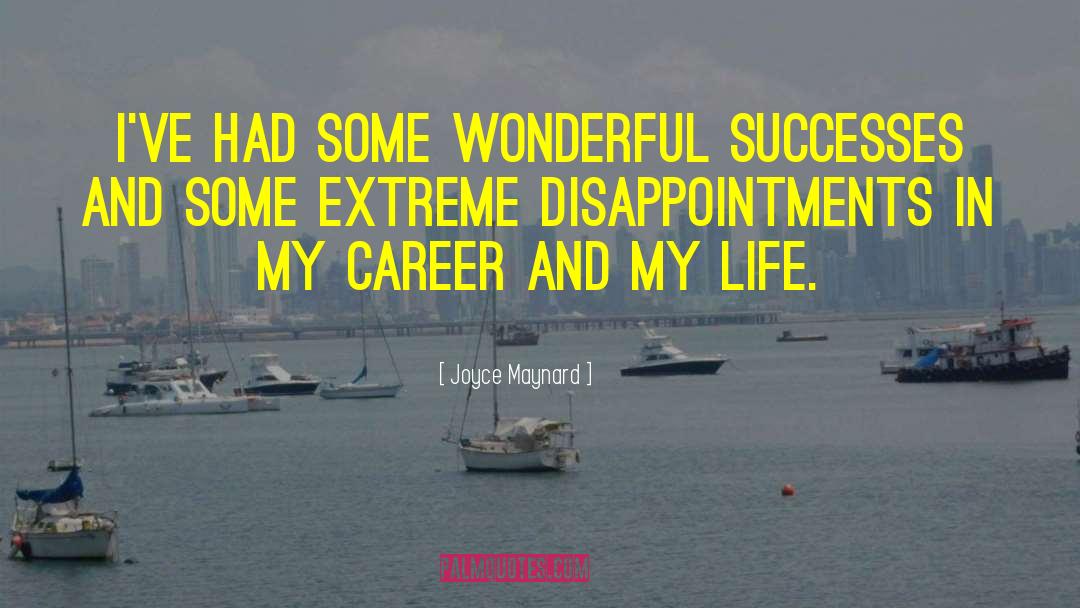 Successes quotes by Joyce Maynard