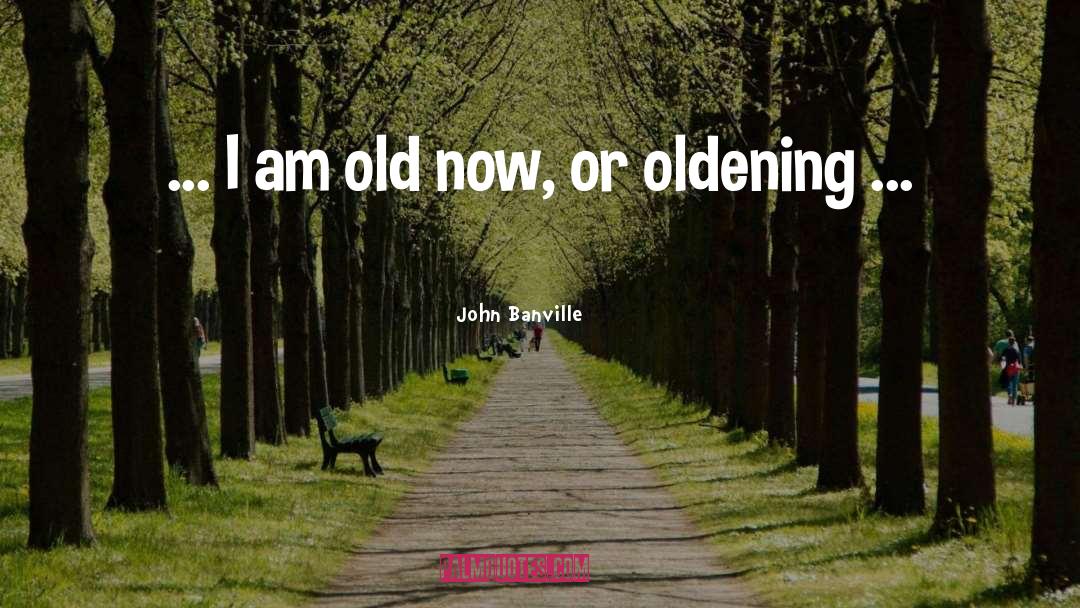 Successful Aging quotes by John Banville
