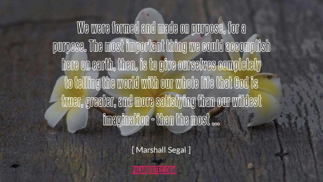 Successful Career quotes by Marshall Segal