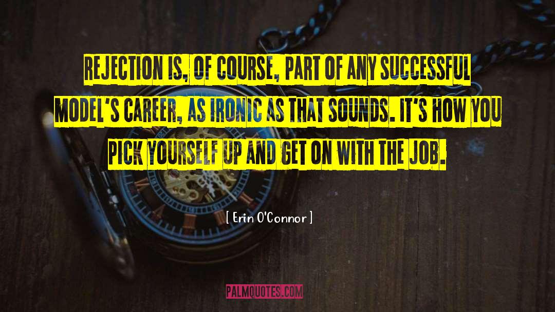 Successful Career quotes by Erin O'Connor