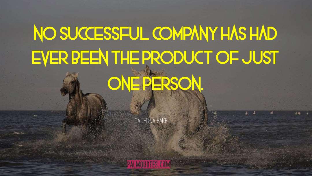 Successful Company quotes by Caterina Fake