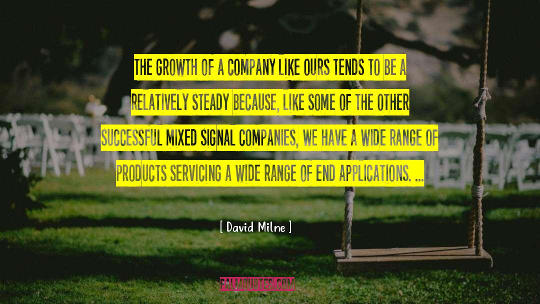 Successful Company quotes by David Milne