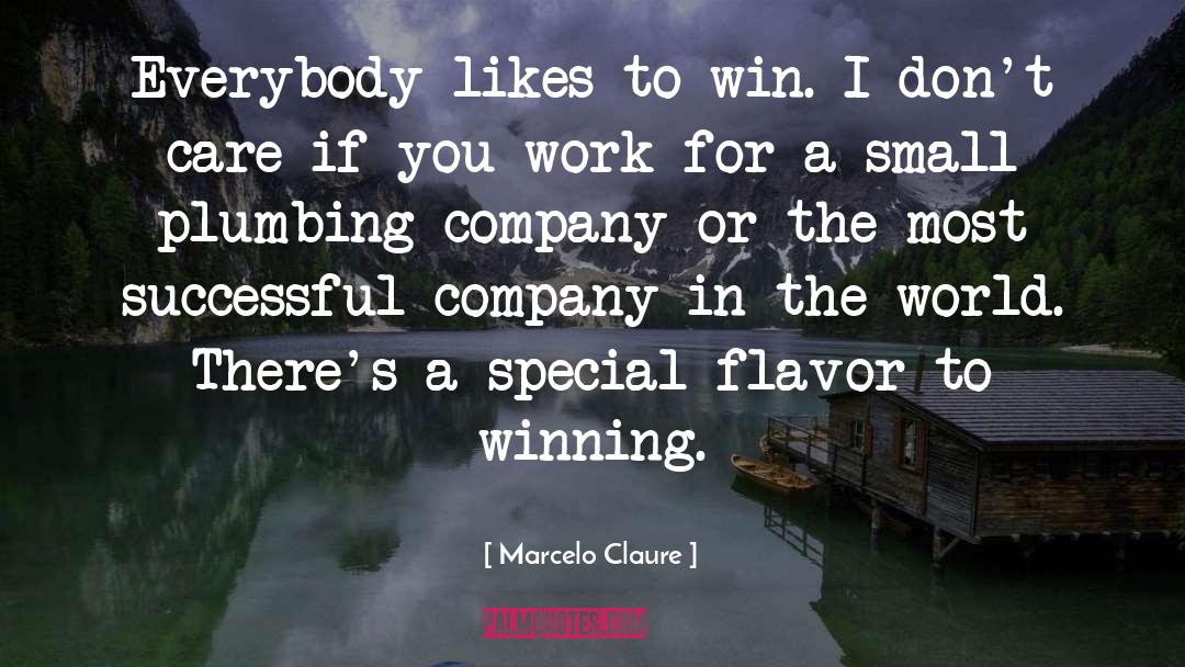 Successful Company quotes by Marcelo Claure