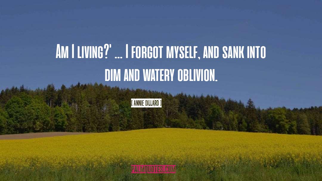 Successful Living Living quotes by Annie Dillard