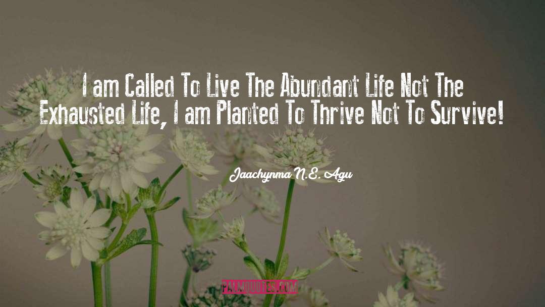 Successful Living quotes by Jaachynma N.E. Agu