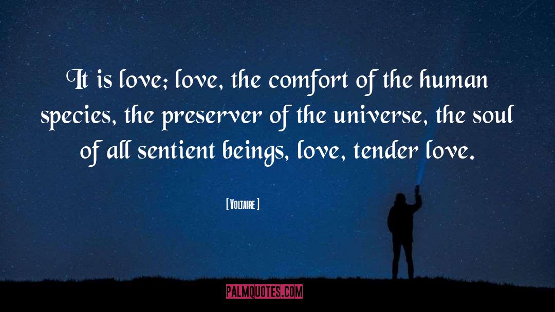Successful Love quotes by Voltaire