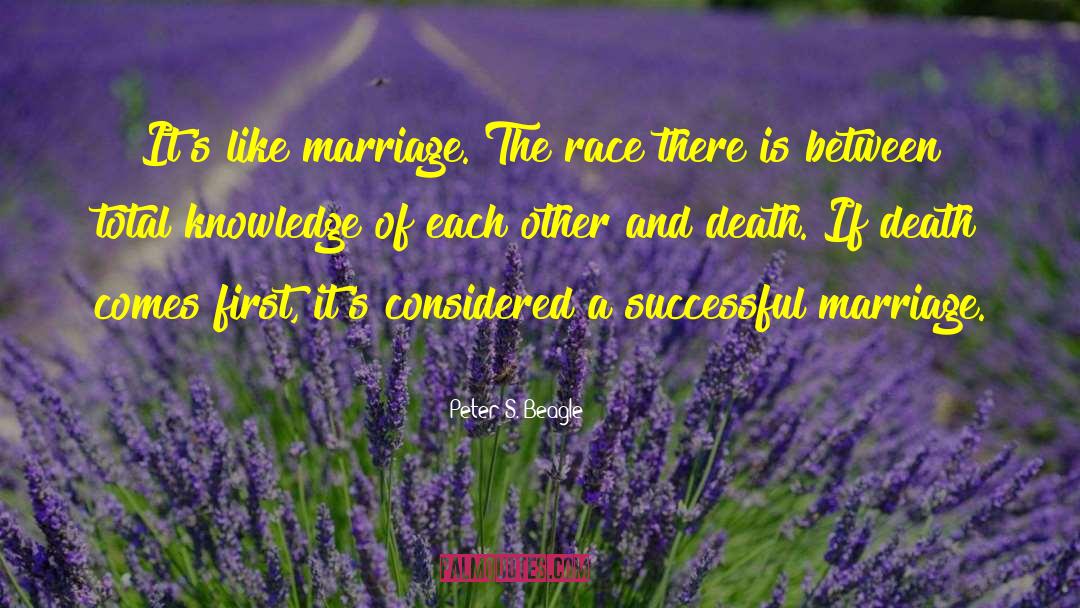 Successful Marriage quotes by Peter S. Beagle