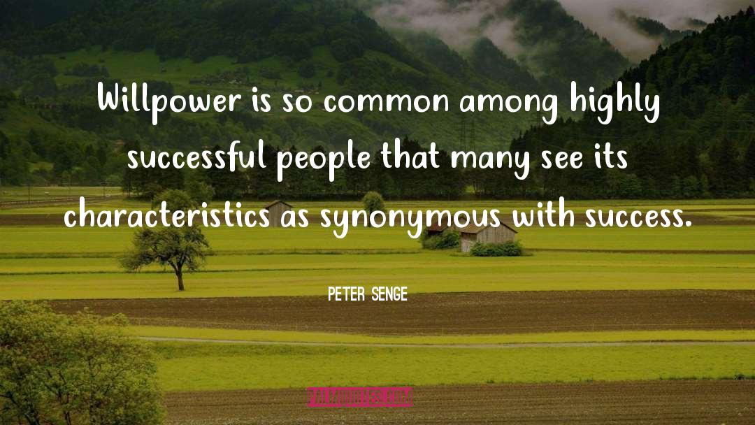 Successful People quotes by Peter Senge