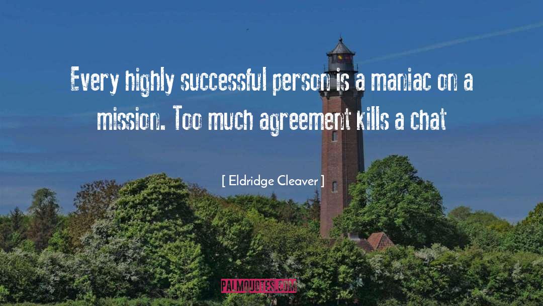Successful Person quotes by Eldridge Cleaver
