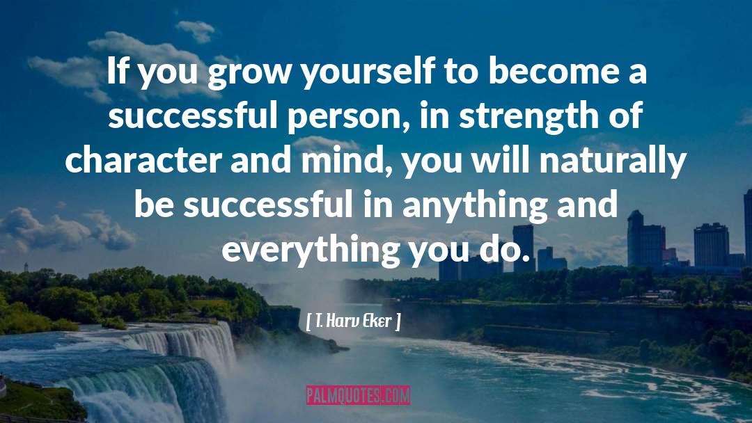 Successful Person quotes by T. Harv Eker