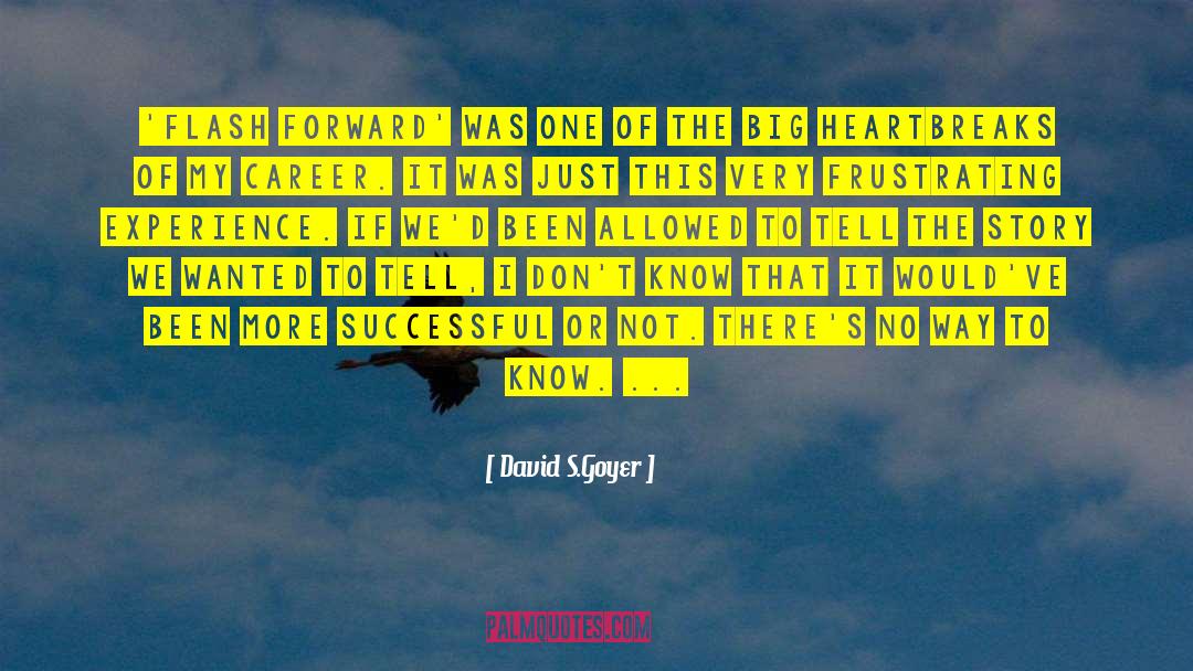 Successful Woman quotes by David S.Goyer