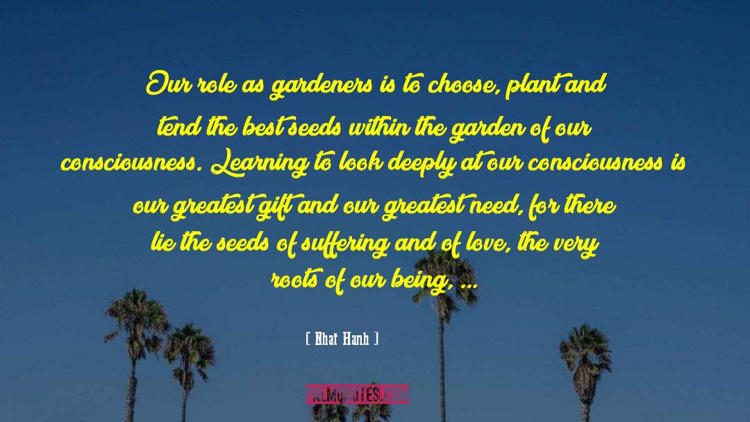 Succulent Plant quotes by Nhat Hanh