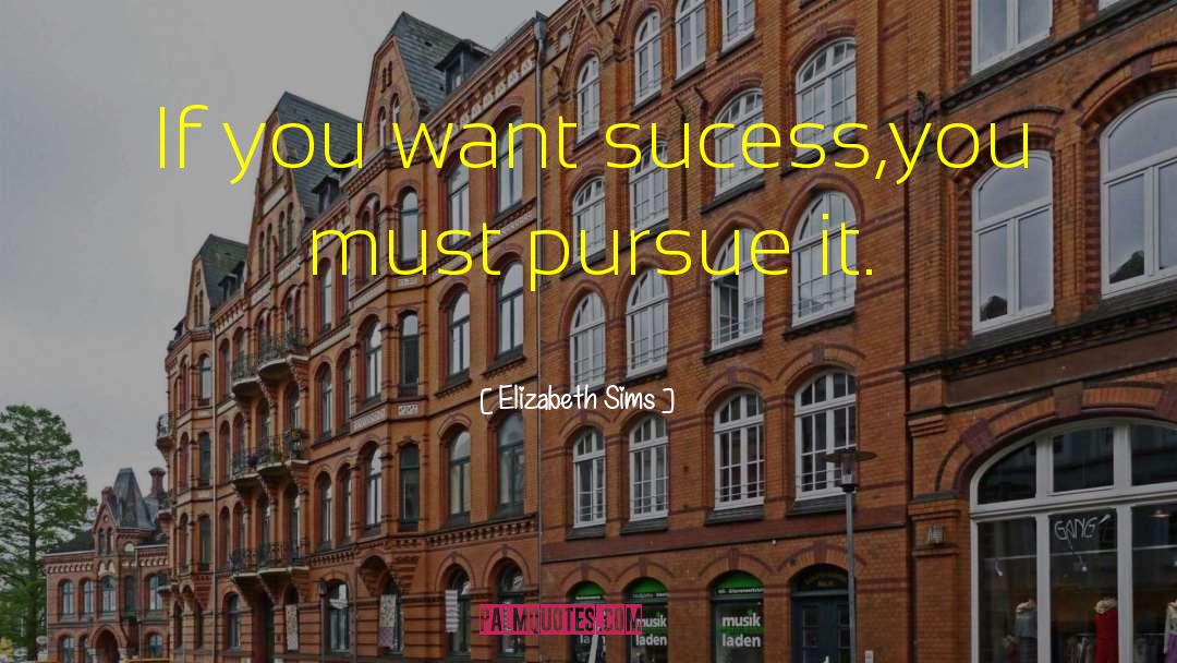 Sucess quotes by Elizabeth Sims