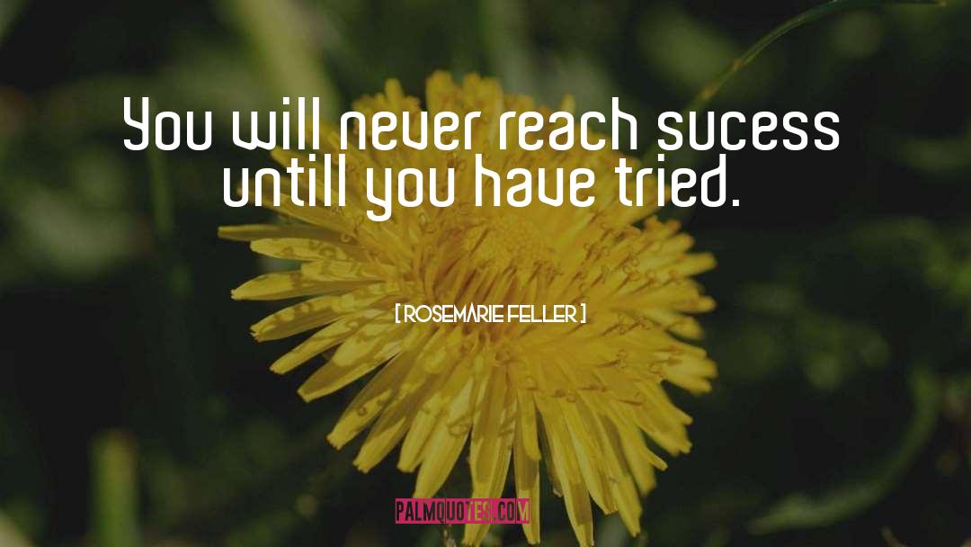 Sucess quotes by Rosemarie Feller