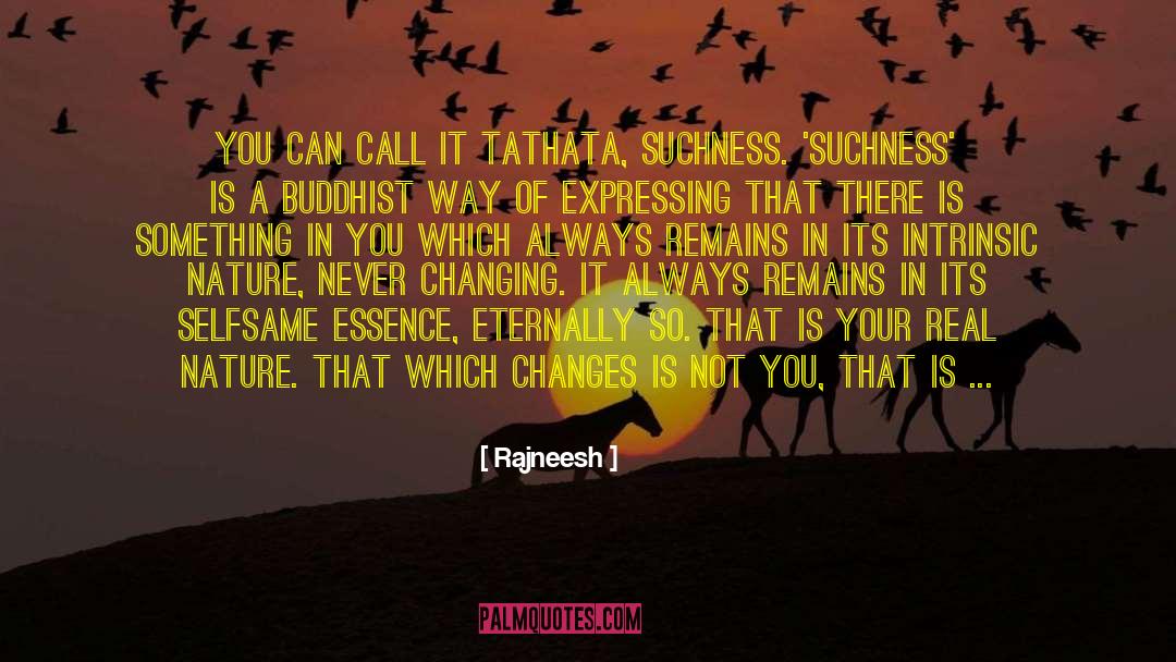 Suchness quotes by Rajneesh