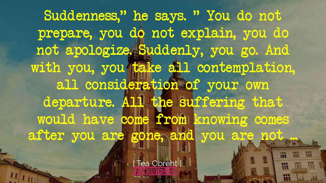 Suddenness Synonym quotes by Tea Obreht