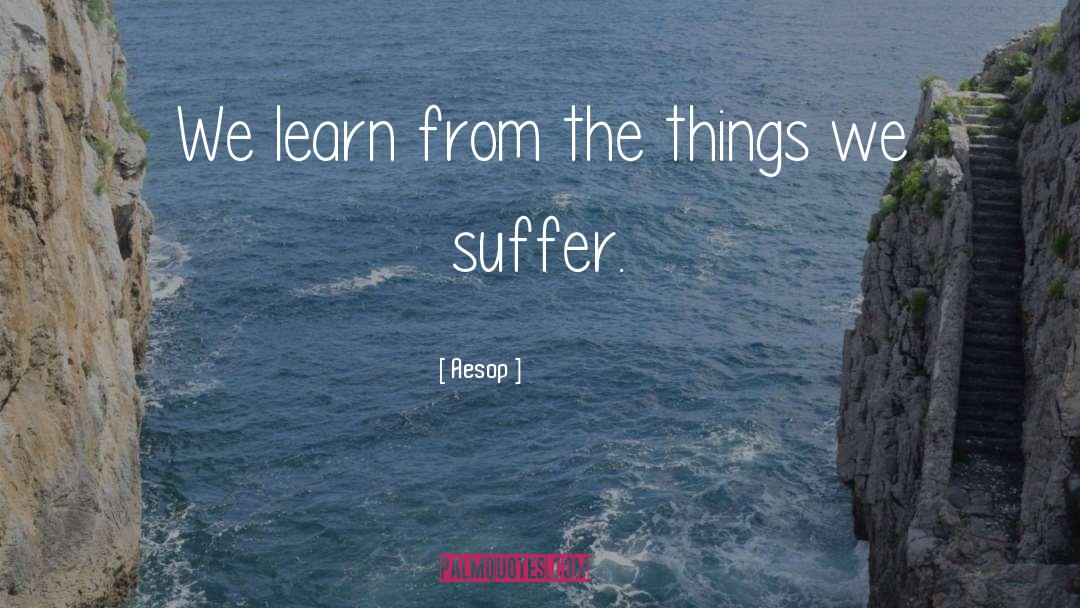 Suffer quotes by Aesop