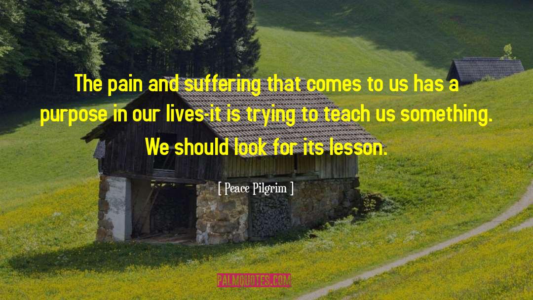 Suffering In Pain quotes by Peace Pilgrim