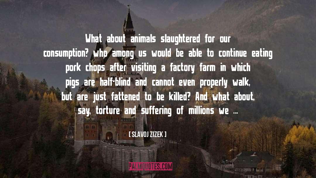 Suffering quotes by Slavoj Zizek