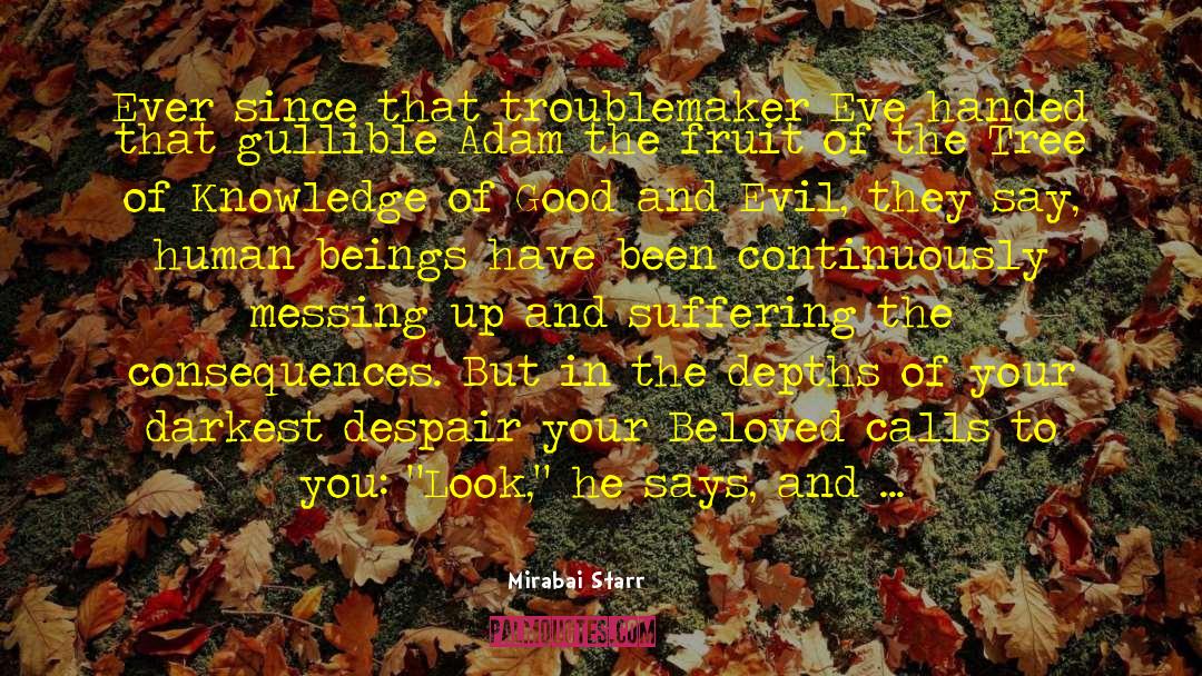 Suffering The Consequences quotes by Mirabai Starr