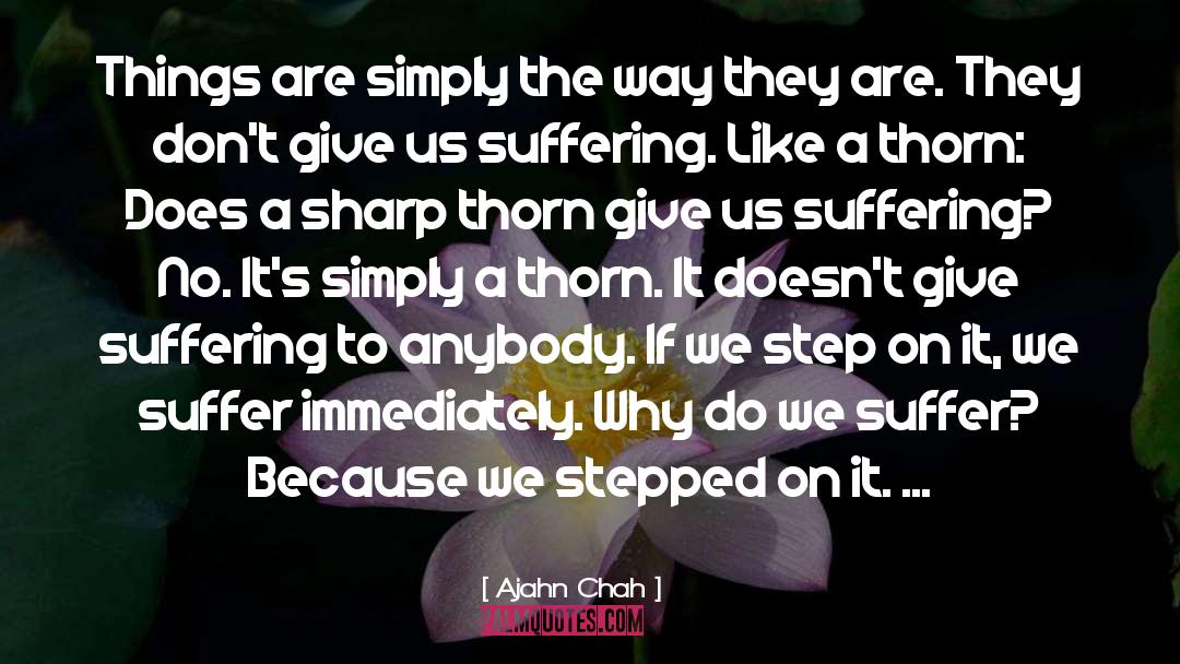 Suffering The Consequences quotes by Ajahn Chah