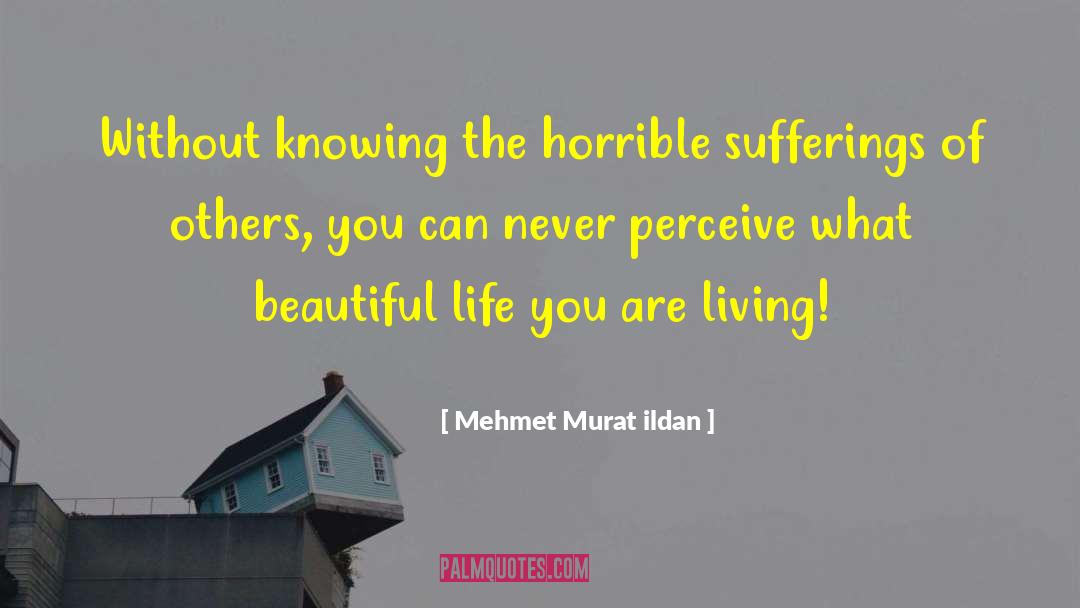 Sufferings quotes by Mehmet Murat Ildan