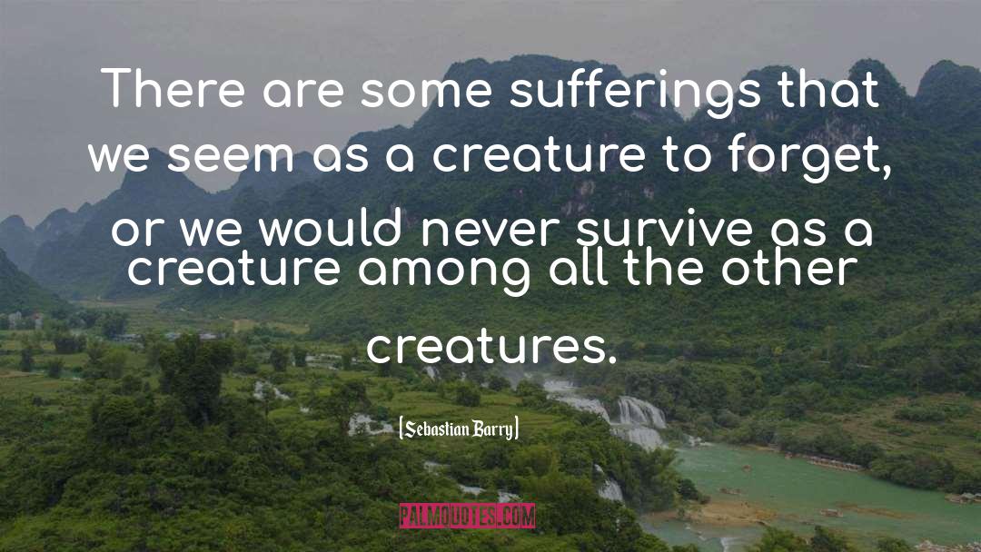 Sufferings quotes by Sebastian Barry