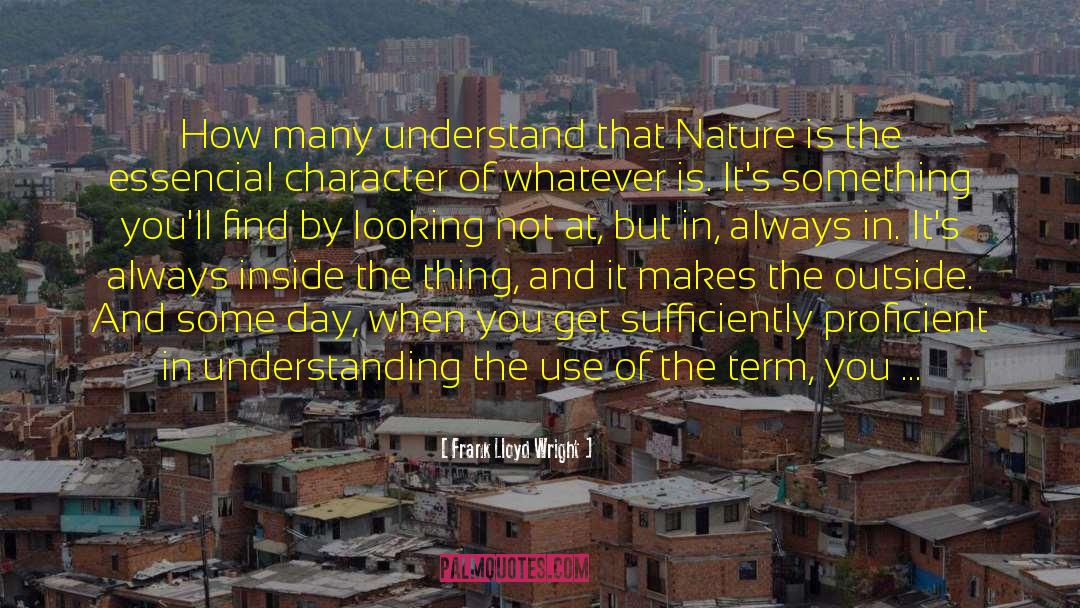 Sufficiently quotes by Frank Lloyd Wright