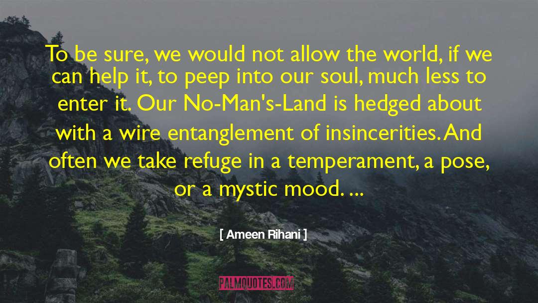 Sufi Mystic quotes by Ameen Rihani