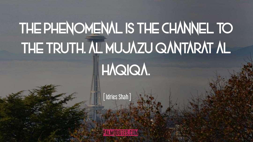 Sufis quotes by Idries Shah