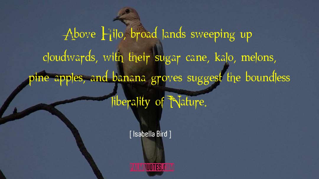 Sugar Cane quotes by Isabella Bird
