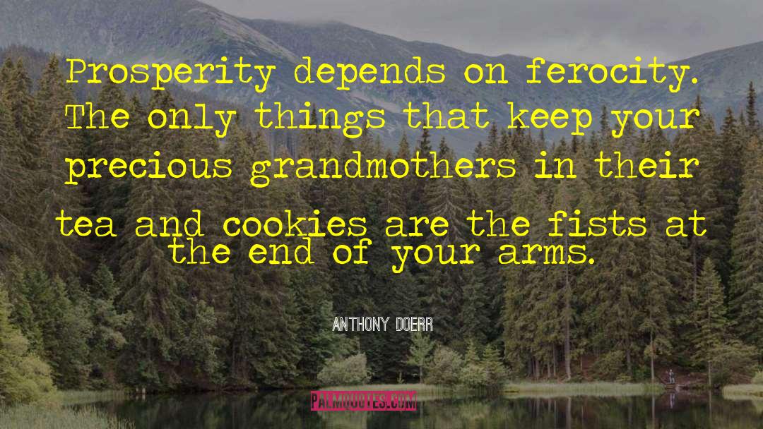 Sugar Cookies quotes by Anthony Doerr