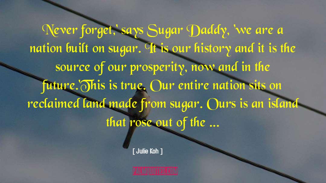 Sugar Daddy quotes by Julie Koh
