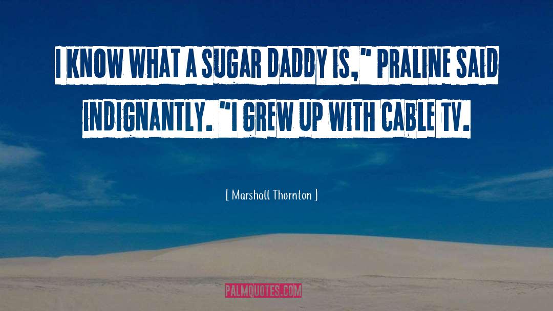 Sugar Daddy quotes by Marshall Thornton