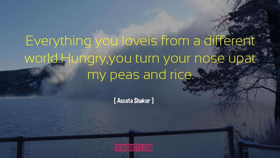 Sugar Peas quotes by Assata Shakur