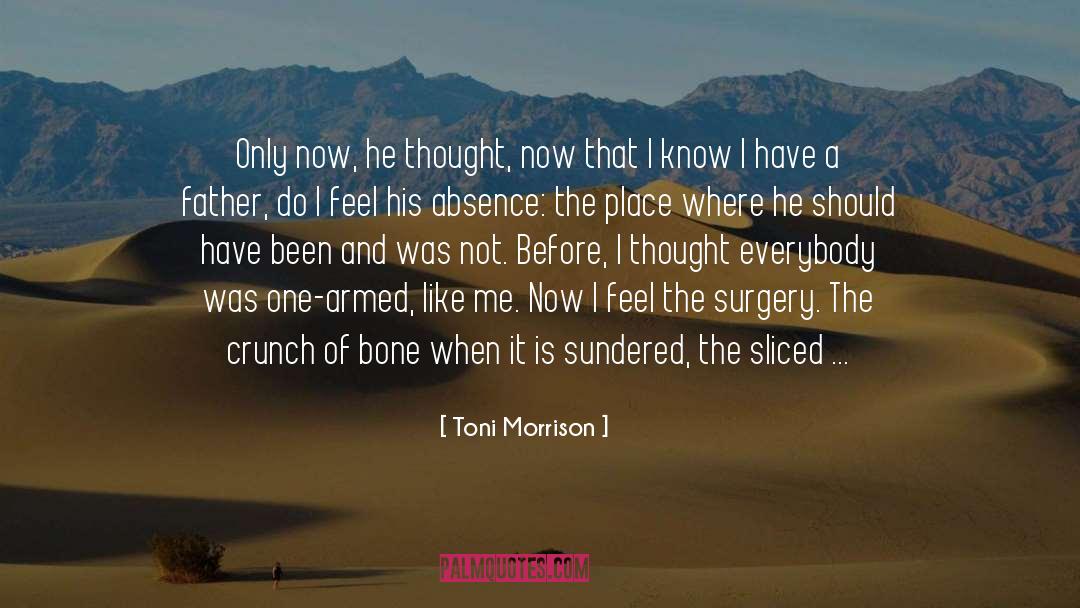 Suicidal Pain quotes by Toni Morrison