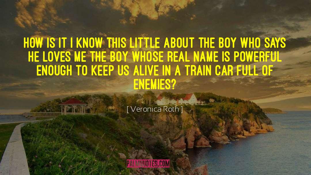 Suicide Boys quotes by Veronica Roth