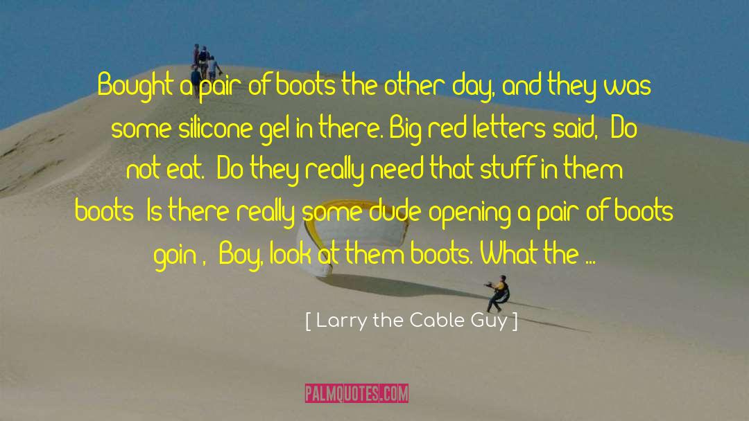Suicide Boys quotes by Larry The Cable Guy