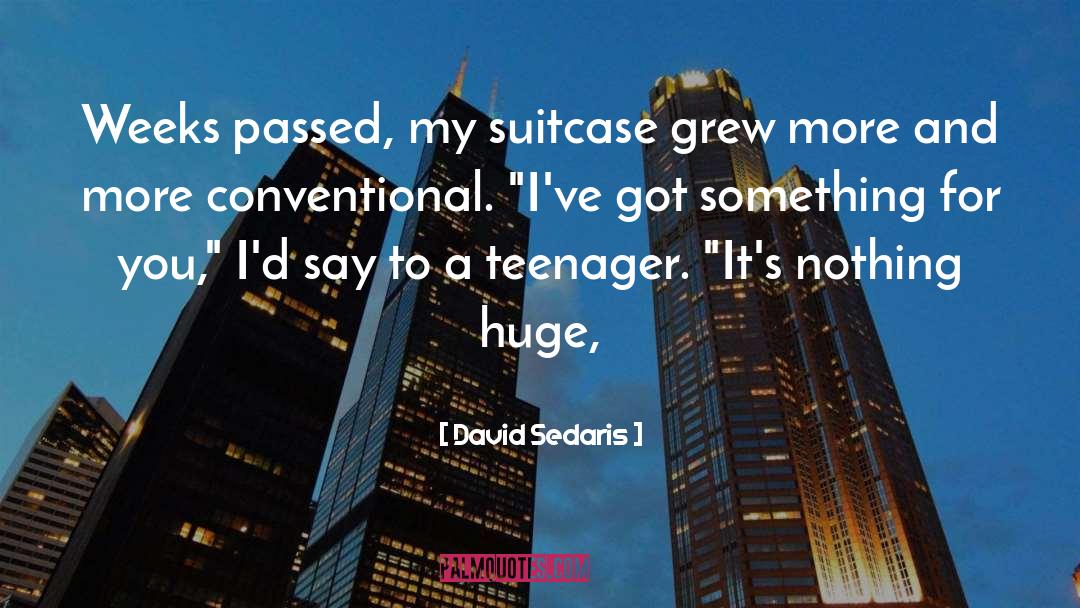 Suitcase quotes by David Sedaris