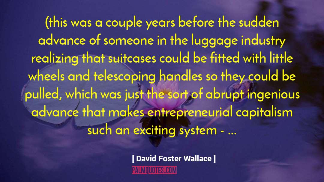 Suitcases quotes by David Foster Wallace