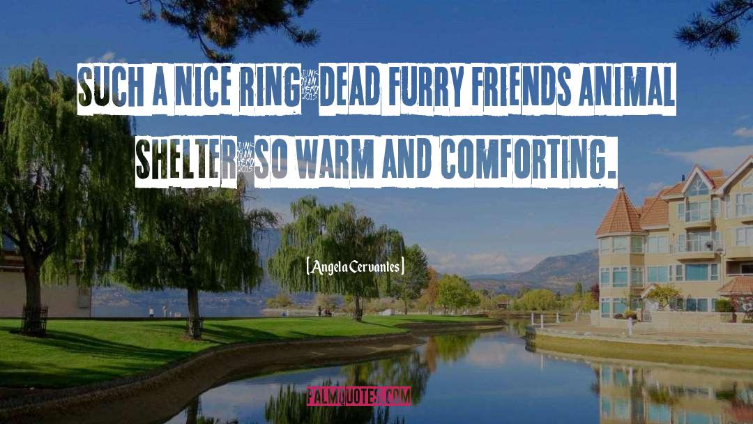 Suiters Furry quotes by Angela Cervantes