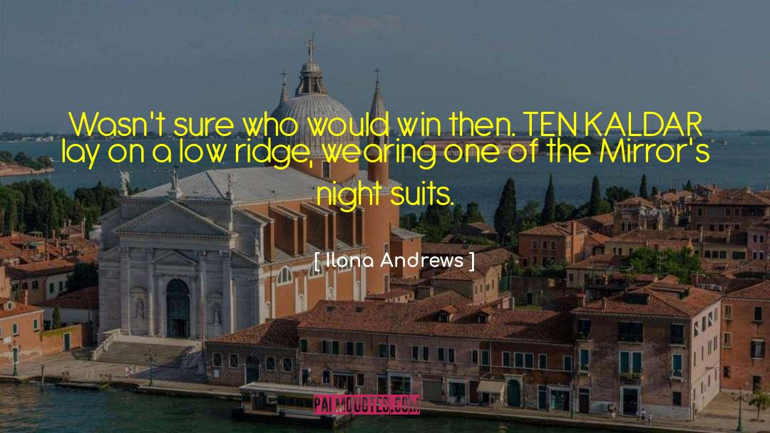 Suits Of Armor quotes by Ilona Andrews